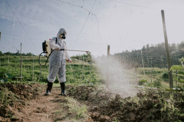 Best Ant Control Services  in North Ogden, UT
