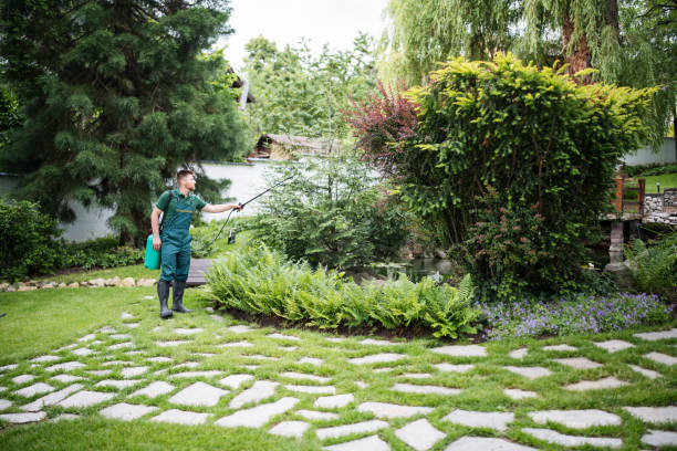 Reliable North Ogden, UT Pest Control Solutions