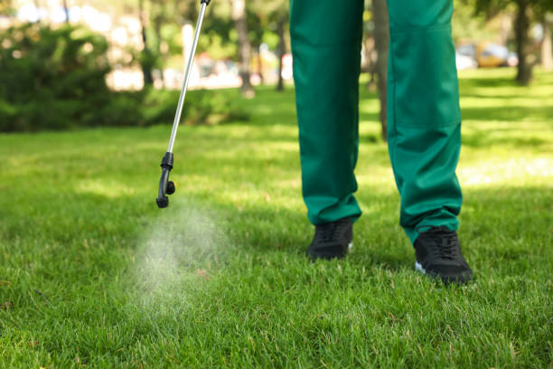 Best Residential Pest Control  in North Ogden, UT