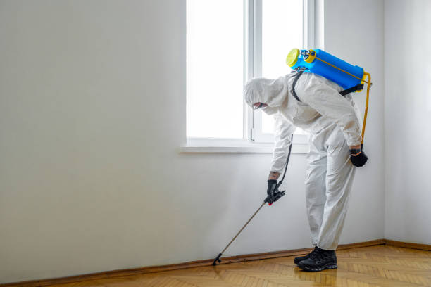 Best Pest Removal Services  in North Ogden, UT