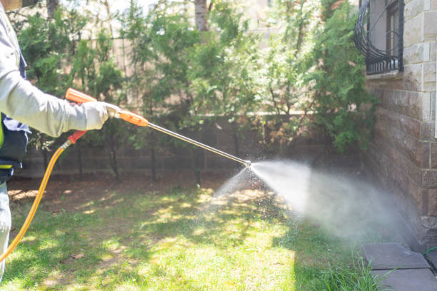 Wasp Removal Services in North Ogden, UT