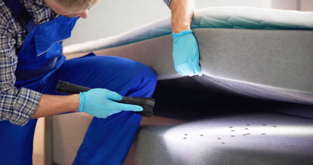 Best Exterminator Services  in North Ogden, UT