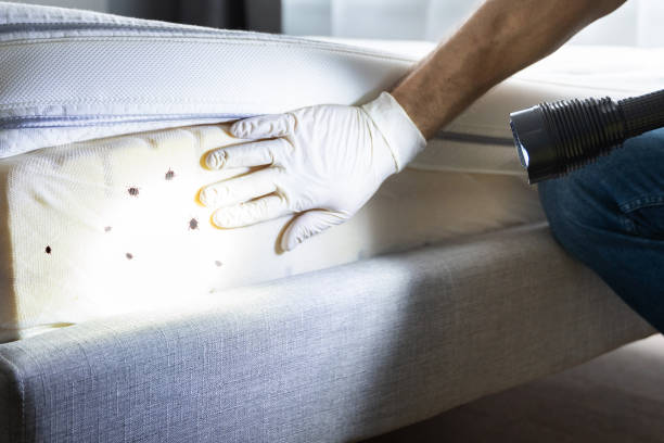 Best Best Pest Control Companies  in North Ogden, UT