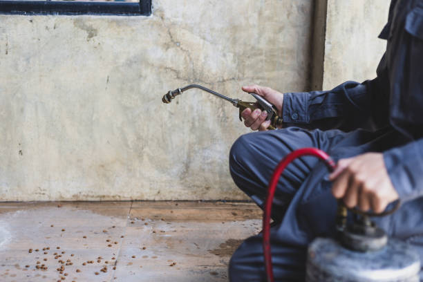 Best Pest Prevention Services  in North Ogden, UT