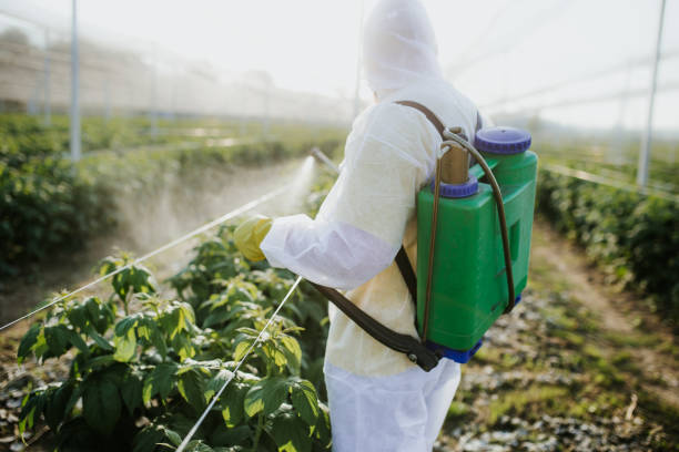 Best Termite Control Services  in North Ogden, UT